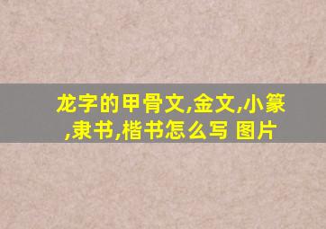 龙字的甲骨文,金文,小篆,隶书,楷书怎么写 图片